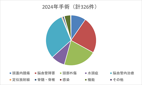 2024年手術統計グラフ